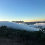 Steven Wayne Monchick - @stevelknevil - Instagram