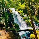 Steven Weigel - @bbqdadof3 - Instagram