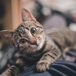 Steven Weigelt - @weigeltsteven - Instagram