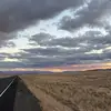 stevenweigel8 - @steven.weigel0 - TikTok