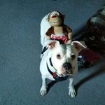 Steve Weisbrod - @weisbrod.steve - Instagram