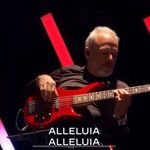 Steven Wendling - @stevenwendling - Instagram