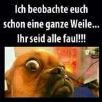 Steven Werther - Facebook