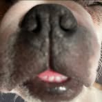 Steven Wessel - Facebook
