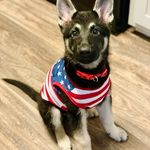Steven Wessman - @stevewessman - Instagram
