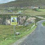 Steve Westfall - @spwestfall - Instagram