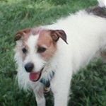 Steve Westfall - @steve_westfall - Instagram