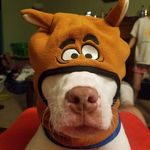 Steven Westfall - @steven.westfall.144 - Instagram