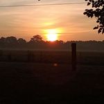 Steven Westfall - @westfall5501 - Instagram