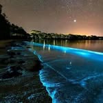 steven weston - @stevenweston12 - Instagram