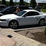 Steven Westphal - @bobcat50westphal_ - Instagram