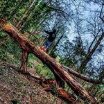 Stephen Whetstone - @stevendagoatsofgaots - Instagram