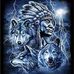 Steven Whiteman - Facebook
