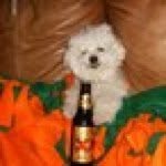 Steven Whitley - @luckydogsrus - Instagram