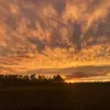 Śțèvéñ🦆 - @steven.whitley4 - TikTok