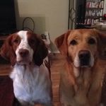 Steven Whitten - @stevenwhitten - Instagram