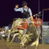 Steven Wicks - @stevenwicks0 - TikTok