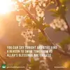 Steven Wicks - @stevenwicks2 - TikTok