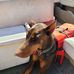Steve Widmaier - Facebook