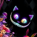 Steven Widmer - @grinsekater_xd - Instagram