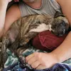 Steven Widmer - @steven.widmer - TikTok