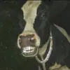 Steven Wilburn - @steven.wilburn - TikTok