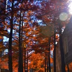Steven Wilds - @stevenphotography4 - Instagram