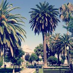 Steven Wiles - @jobeyreas - Instagram