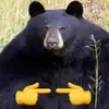 Steven Willey - @grizzly_security - TikTok