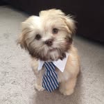 Steven Wines - @super__steven - Instagram