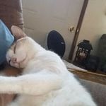 Steven Winfield - @sw_master_of_puppets - Instagram