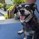 Steven Paul Winkel - @spwinkel54 - Instagram