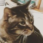 steven winkelbach - @stevenwinkelbach - Instagram
