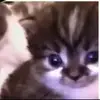 Claw - @stevenwinstonjr - TikTok