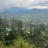 Winston steven - @winston.steven - TikTok