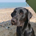 Steven woodrow - @steven_woodrow_ - Instagram
