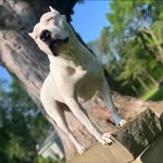 Steve Woolbright - @stevie.woolbright - Instagram