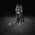 Steven Woolley - @stevenrwoolley - Instagram