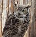 Steven Worden - Facebook