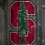 Steve Worrell - @steve.worrell.961 - Instagram
