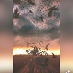 Steven Worrell - @worrell7995 - Instagram