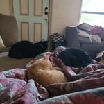Steven Anthony Wunderlin Jr. - @stevenwunderlin - Instagram
