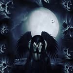 Wunderlich Steven - @wunderlich.steven - Instagram
