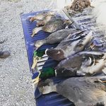 Steven Yeager - @yeager_outdoors - Instagram