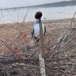 Steven Yeager - @yeager5942 - Instagram