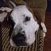 Stevie Bennett - Facebook
