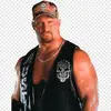 Steve Austin - @steveaustinbsr - TikTok