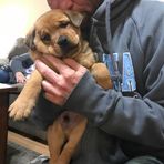 Stevie Carter - Facebook