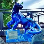 stevie chavez - @steviechavez3 - Instagram