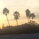 Stevie Cobb - @stevie_cob - Instagram